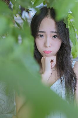 龙族动漫在线观看免费全集高清